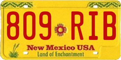 NM license plate 809RIB