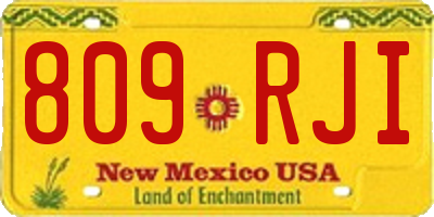 NM license plate 809RJI