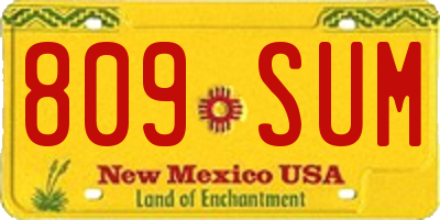 NM license plate 809SUM