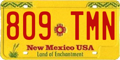 NM license plate 809TMN