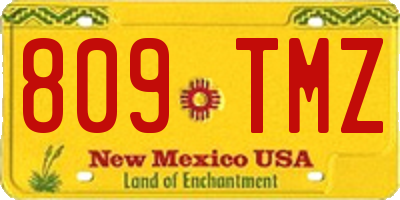 NM license plate 809TMZ