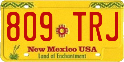 NM license plate 809TRJ