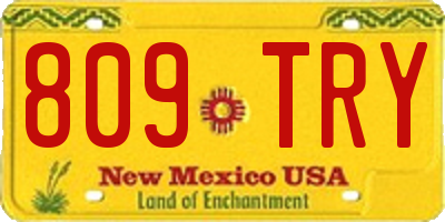 NM license plate 809TRY