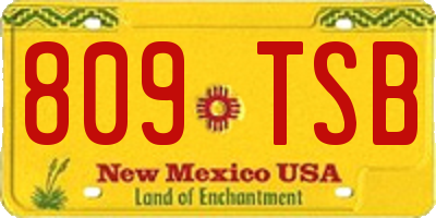 NM license plate 809TSB