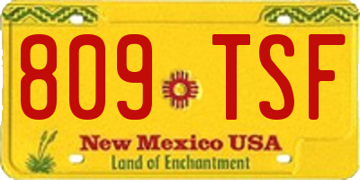NM license plate 809TSF