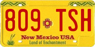 NM license plate 809TSH