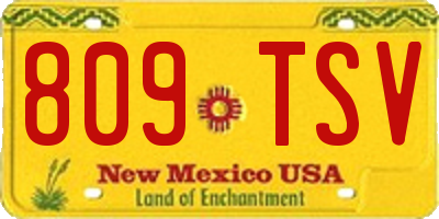 NM license plate 809TSV