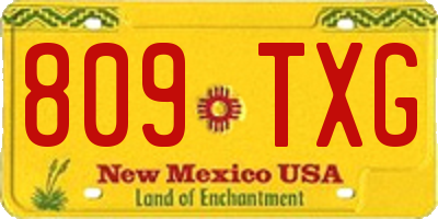 NM license plate 809TXG