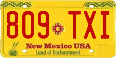 NM license plate 809TXI