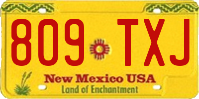 NM license plate 809TXJ