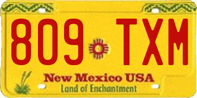 NM license plate 809TXM