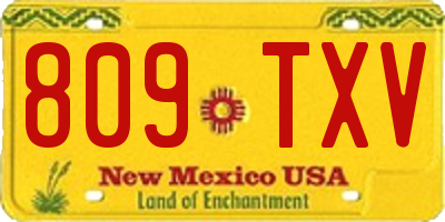NM license plate 809TXV