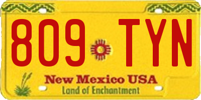 NM license plate 809TYN