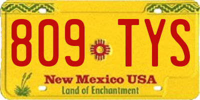 NM license plate 809TYS