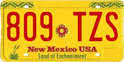 NM license plate 809TZS