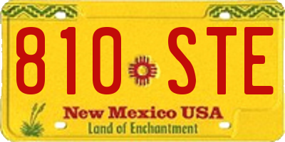 NM license plate 810STE