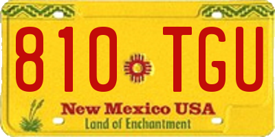 NM license plate 810TGU