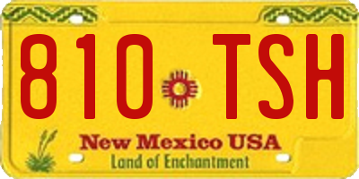 NM license plate 810TSH