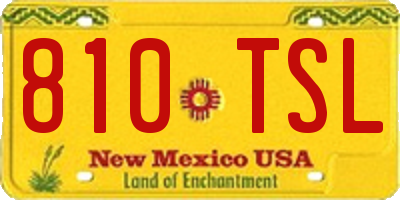NM license plate 810TSL