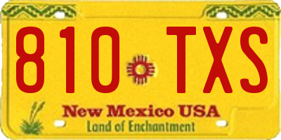 NM license plate 810TXS