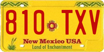 NM license plate 810TXV