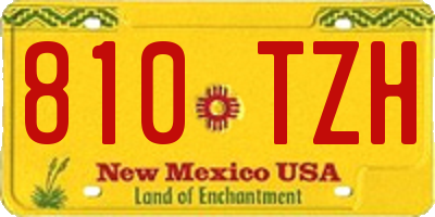 NM license plate 810TZH