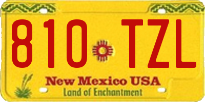 NM license plate 810TZL