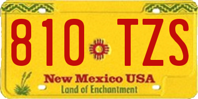 NM license plate 810TZS