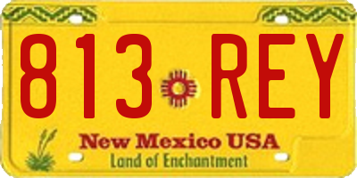 NM license plate 813REY