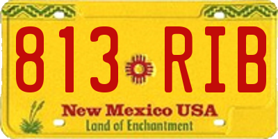 NM license plate 813RIB