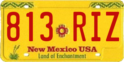 NM license plate 813RIZ