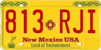 NM license plate 813RJI