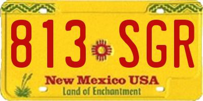 NM license plate 813SGR