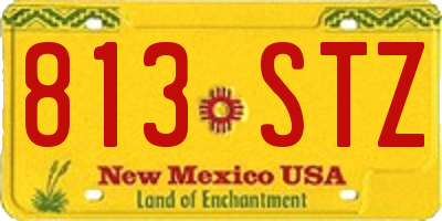 NM license plate 813STZ