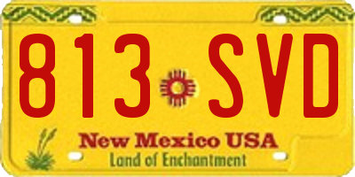 NM license plate 813SVD