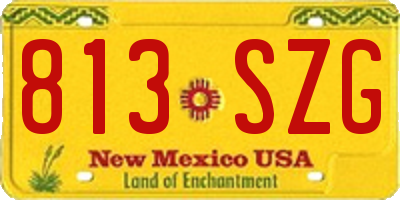 NM license plate 813SZG