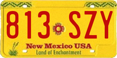 NM license plate 813SZY