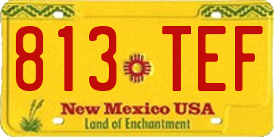 NM license plate 813TEF