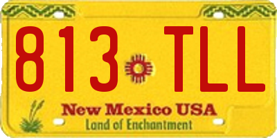 NM license plate 813TLL