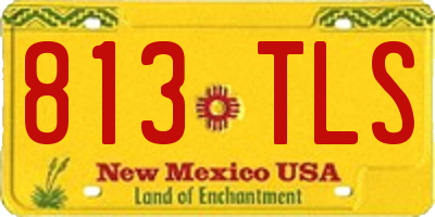 NM license plate 813TLS