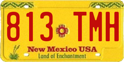 NM license plate 813TMH