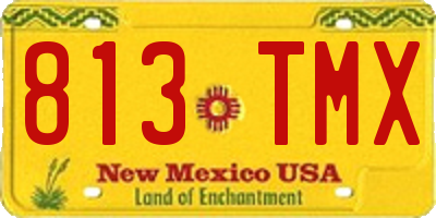 NM license plate 813TMX
