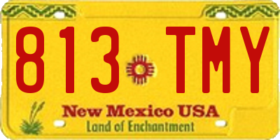 NM license plate 813TMY