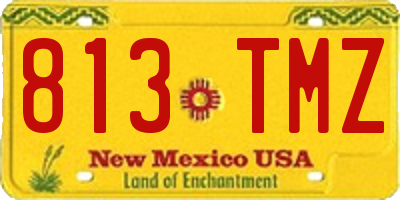 NM license plate 813TMZ
