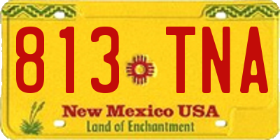 NM license plate 813TNA