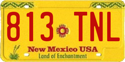 NM license plate 813TNL