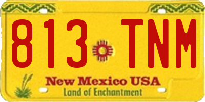 NM license plate 813TNM
