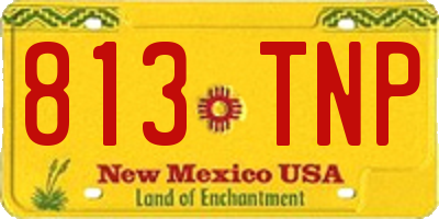 NM license plate 813TNP