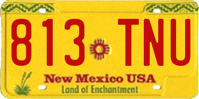 NM license plate 813TNU