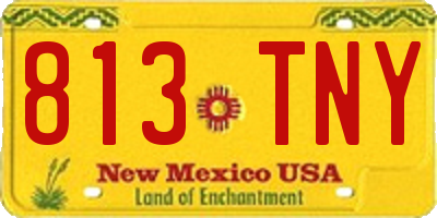NM license plate 813TNY